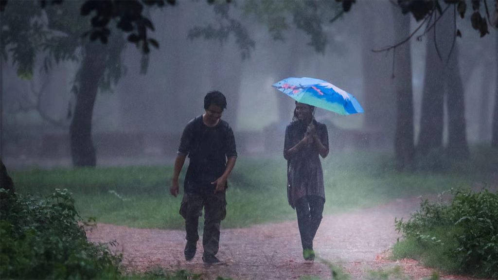 rain_pic